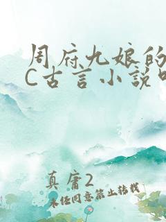 周府九娘的NPC古言小说叫什么