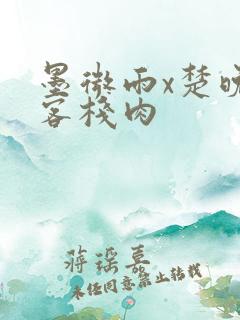 墨微雨x楚晚宁客栈肉