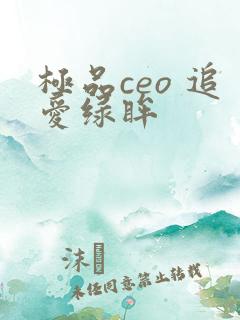 极品ceo 追爱绿眸