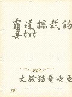 霸道总裁的挂名妻txt