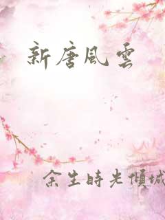 新唐风云