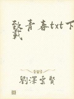 致青春txt下载