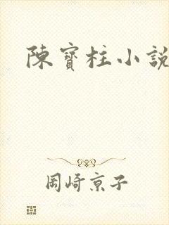 陈宝柱小说