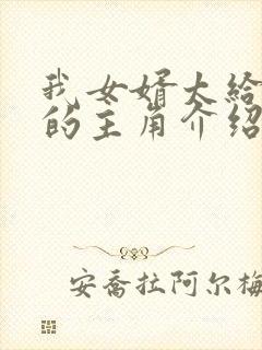 我女婿太给力了的主角介绍