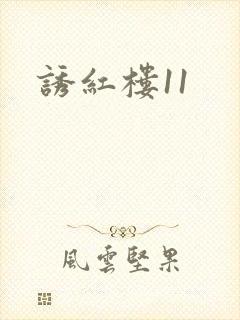 诱红楼11