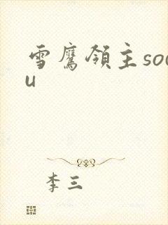 雪鹰领主sodu