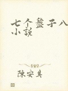 七个盘子八个碗小说