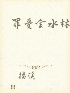 罪爱金水林晓慧