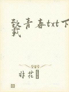致青春txt下载