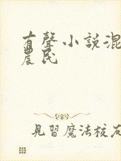 有声小说混世小农民