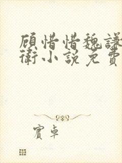 顾惜惜魏谦锦衣卫小说免费阅读