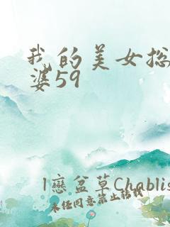 我的美女总裁老婆59