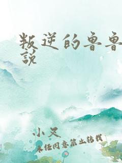 叛逆的鲁鲁修小说