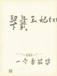 契丹王妃txt下载