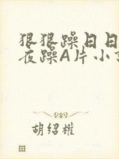 狠狠躁日日躁夜夜躁A片小说