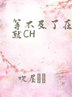 等不及了在车里就CH