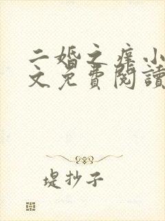 二婚之痒小说全文免费阅读