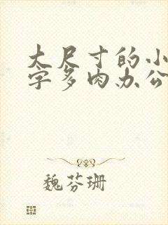 大尺寸的小黄说字多肉办公室