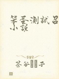 笨蛋测试召唤兽小说