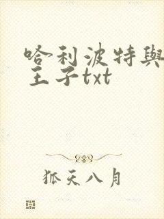 哈利波特与混血王子txt