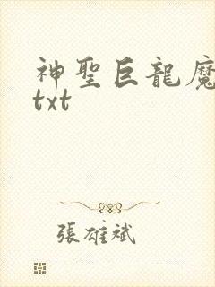 神圣巨龙魔法师txt