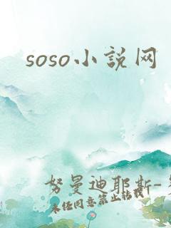 soso小说网