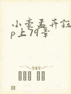 小豪孟卉钰慧三p上79章