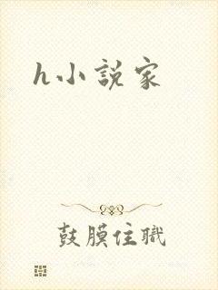 h小说家