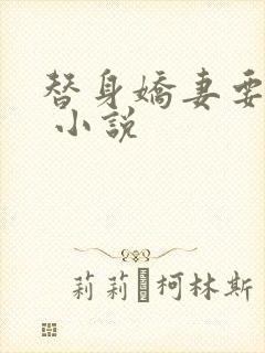 替身娇妻要离婚 小说