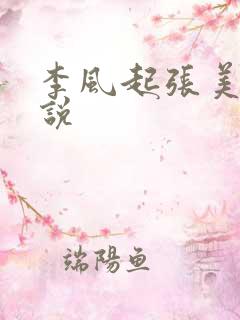 李风起张美丽小说