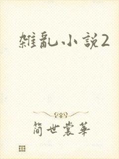 杂乱小说2