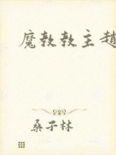 魔教教主赵小猫