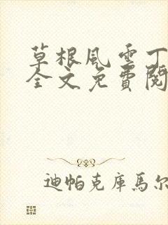 草根风云丁长生全文免费阅读