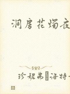 洞房花烛夜小说