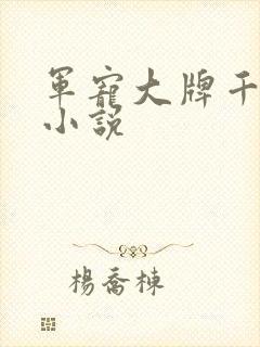 军宠大牌千金 小说