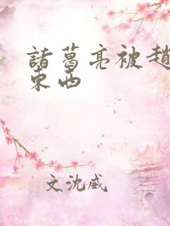 诸葛亮被赵云塞东西