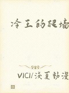 冷王的爬墙丑妃