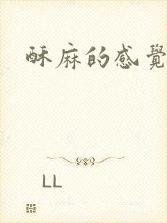 酥麻的感觉小说