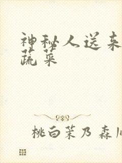 神秘人送来千斤蔬菜