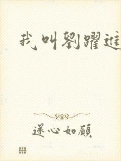 我叫刘跃进下载