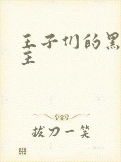 王子们的黑道公主