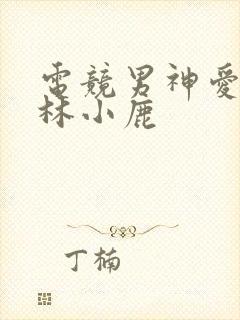 电竞男神爱上我林小鹿