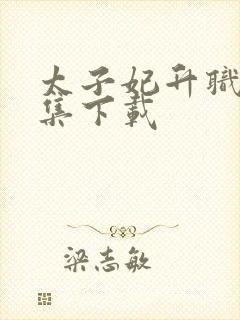 太子妃升职记全集下载