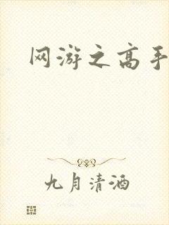 网游之高手寂寞