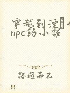 穿越到湮婸世界npc的小说