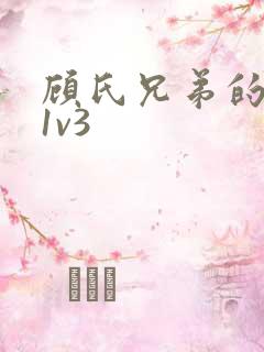 顾氏兄弟的南宁1v3