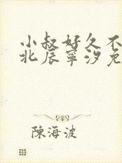 小叔好久不见顾北辰宁汐免费阅读