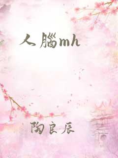 人脑mh