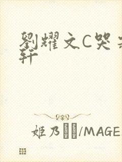 刘耀文C哭宋亚轩