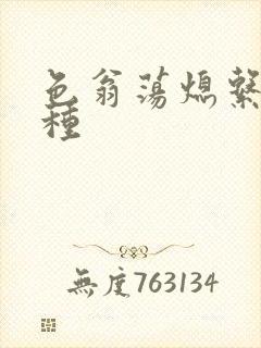 色翁荡熄系列借种